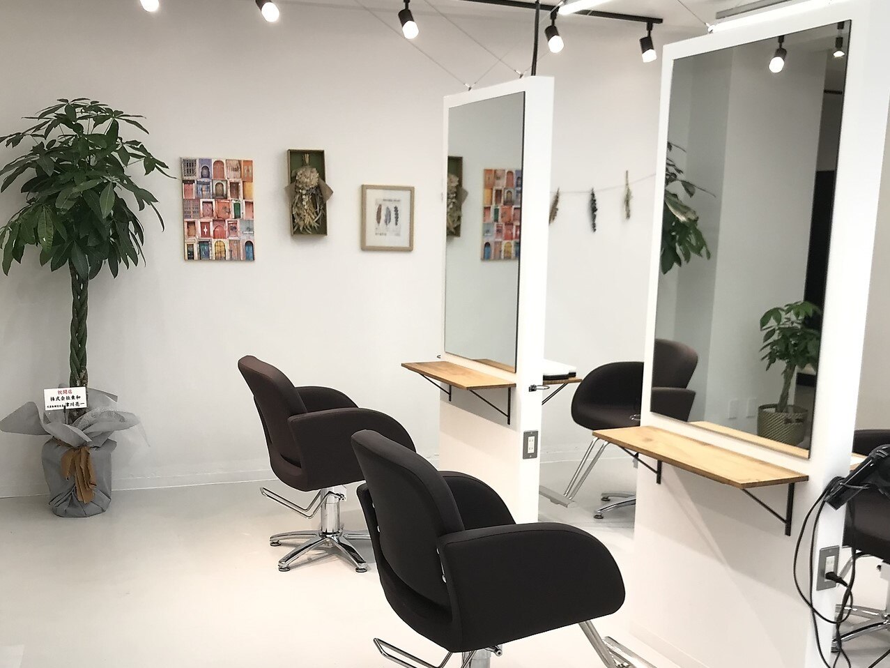 hair design l'ea